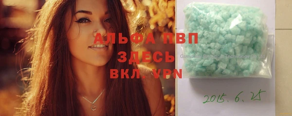 стаф Аркадак