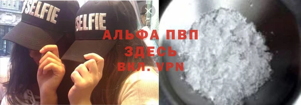 кокс Арсеньев