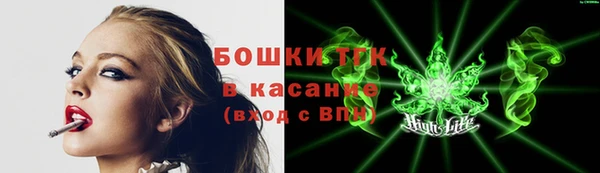 стаф Аркадак