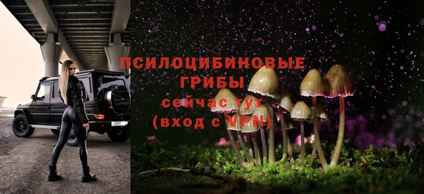 стаф Аркадак