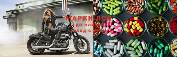 стаф Аркадак