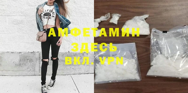 стаф Аркадак