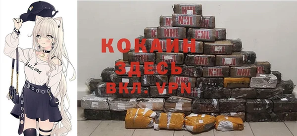 кокс Арсеньев