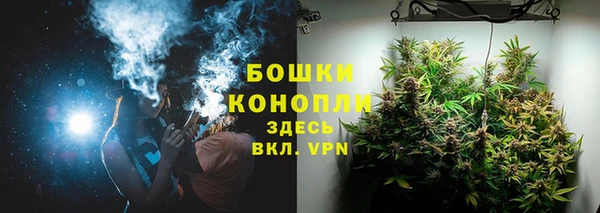 стаф Аркадак