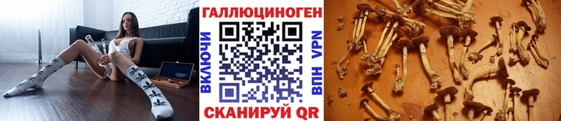 Галлюциногенные грибы прущие грибы где найти Остров